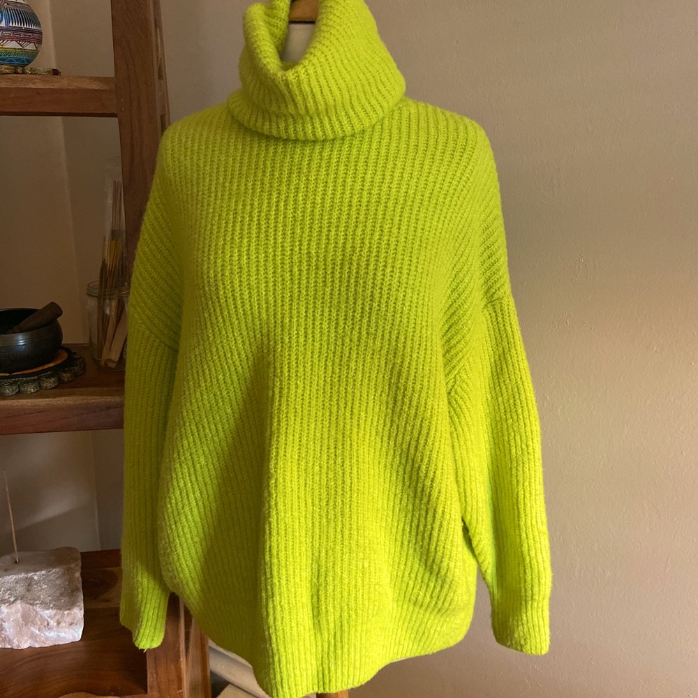 Zara Knit Turtleneck Sweater